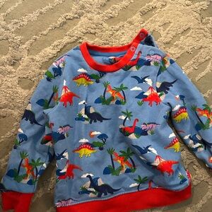 Mini Boden Dinosaur Sweatshirt